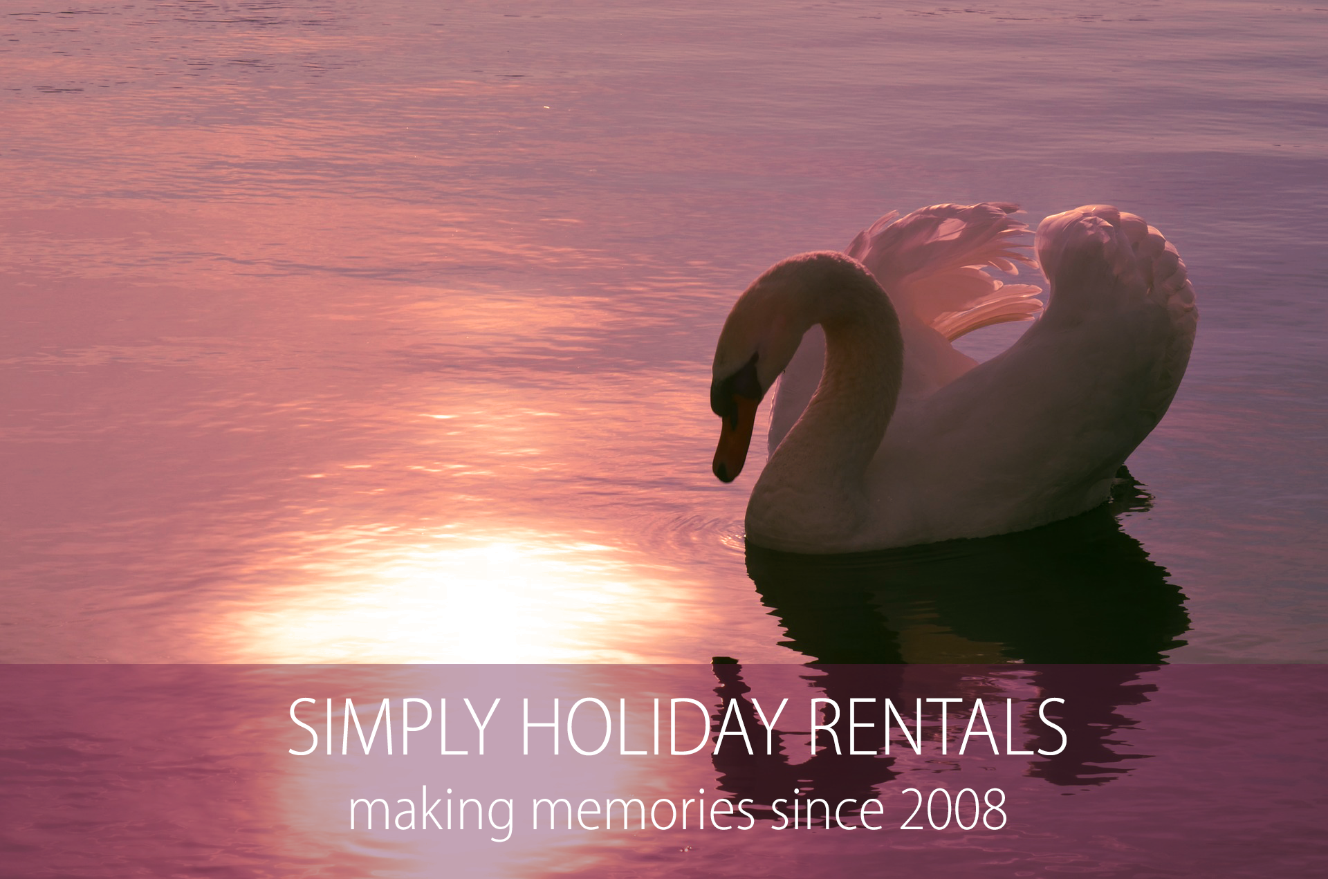 swan-1229503_19200